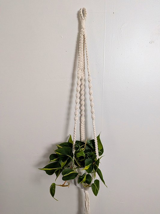 The Twist Center Hang Plant Hanger