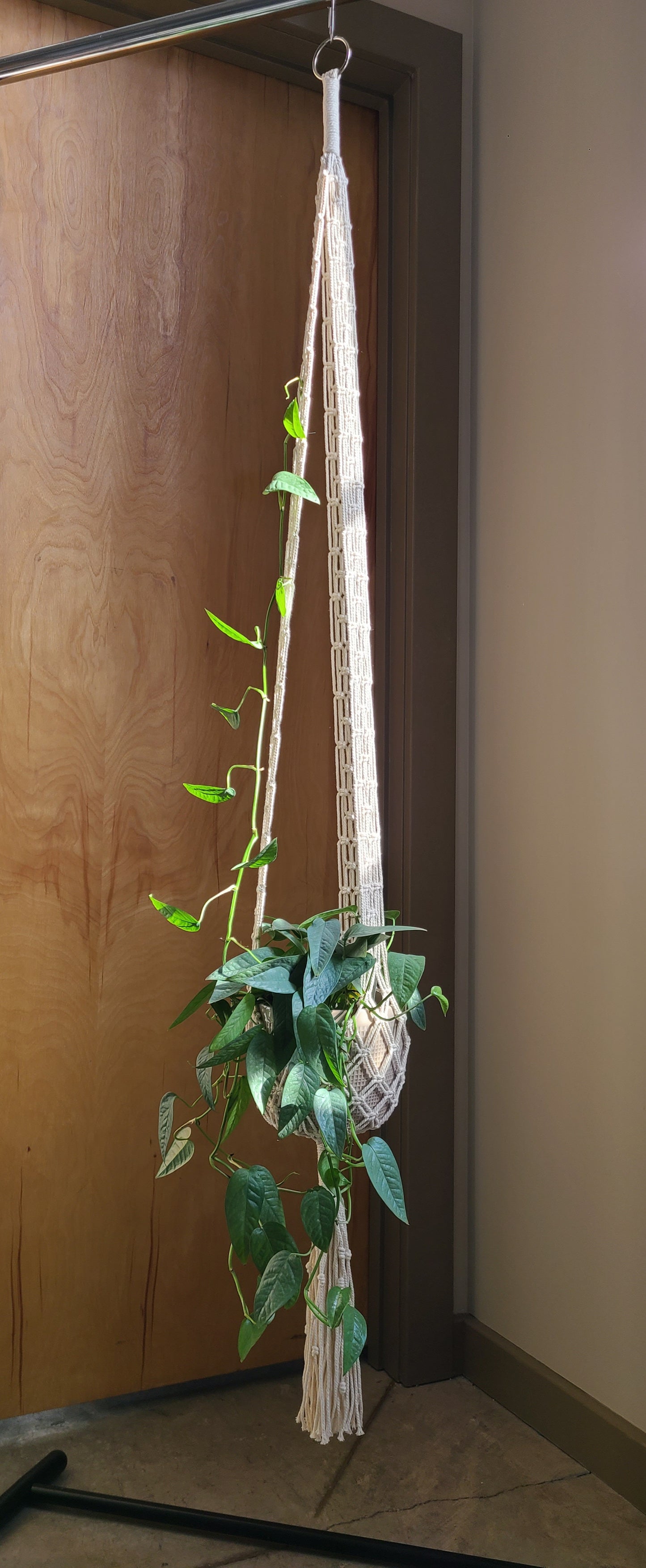 Groovy Tall Plant Hanger