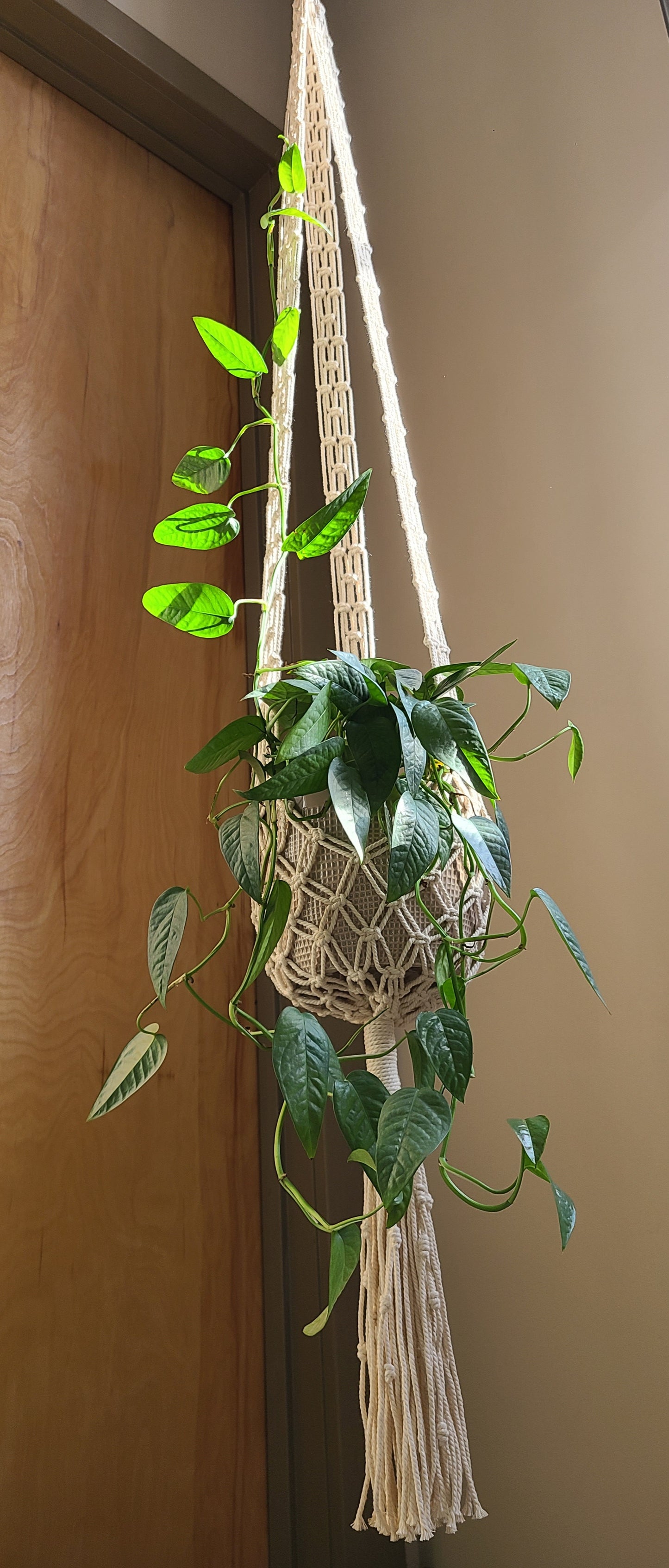 Groovy Tall Plant Hanger