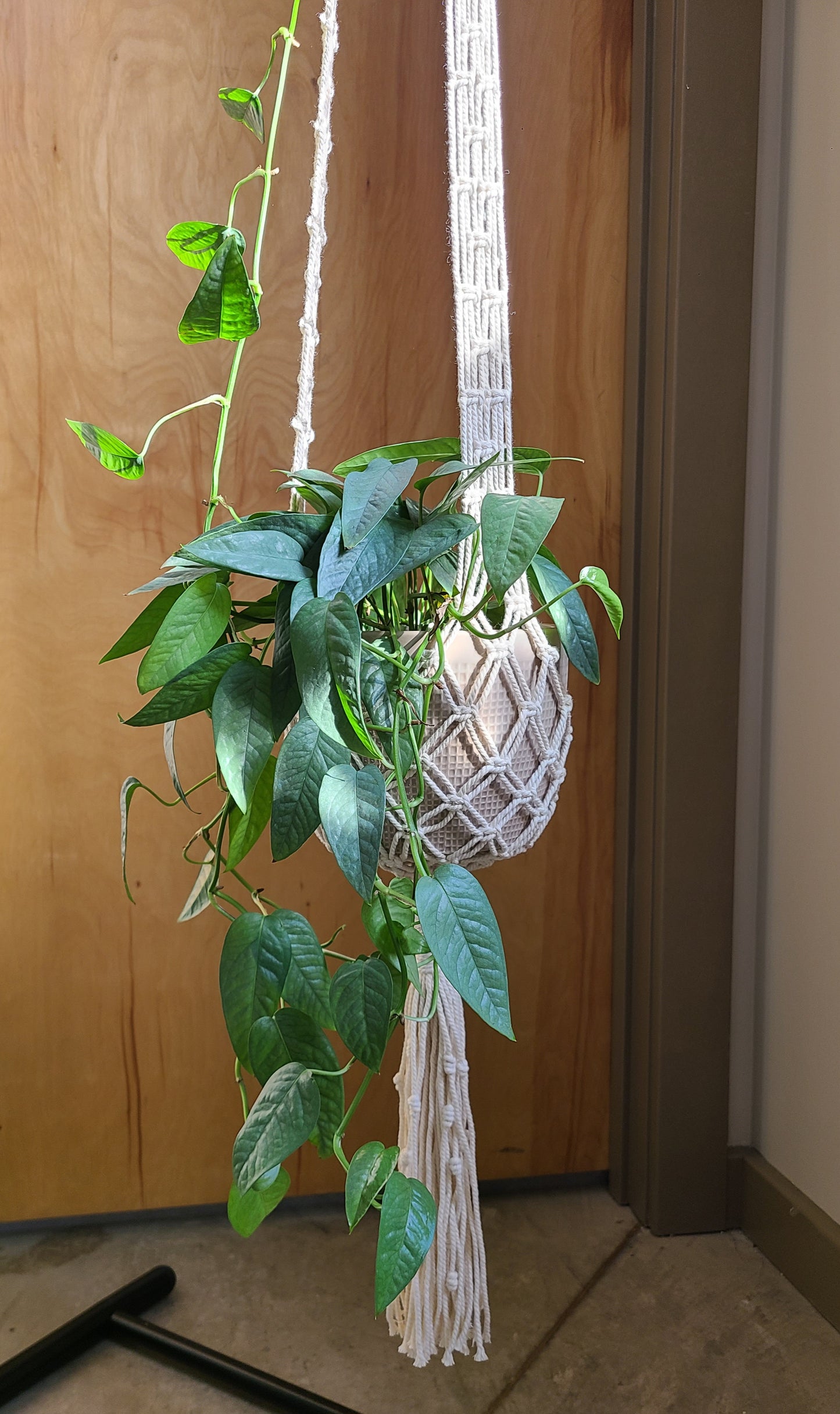 Groovy Tall Plant Hanger