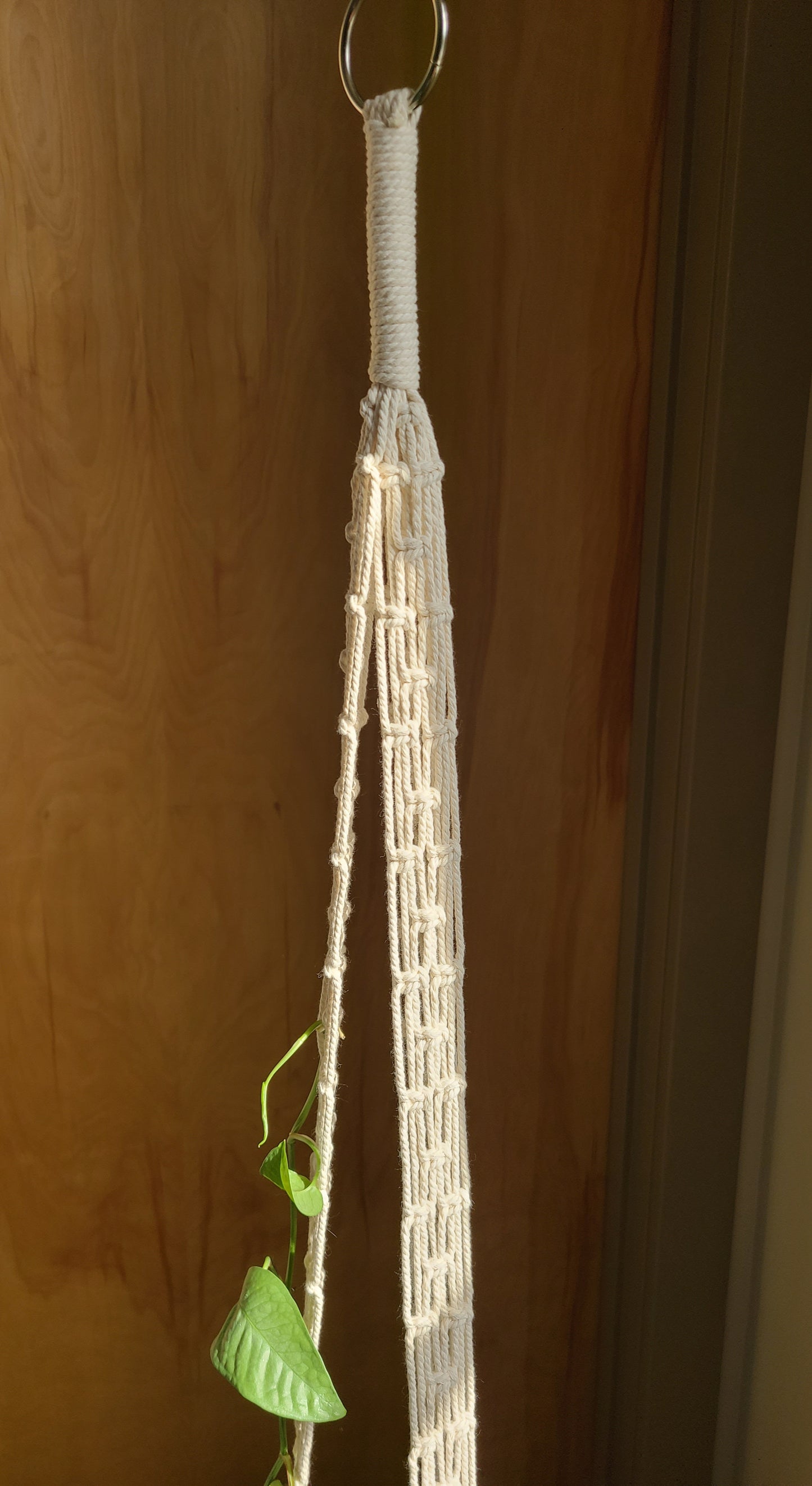 Groovy Tall Plant Hanger