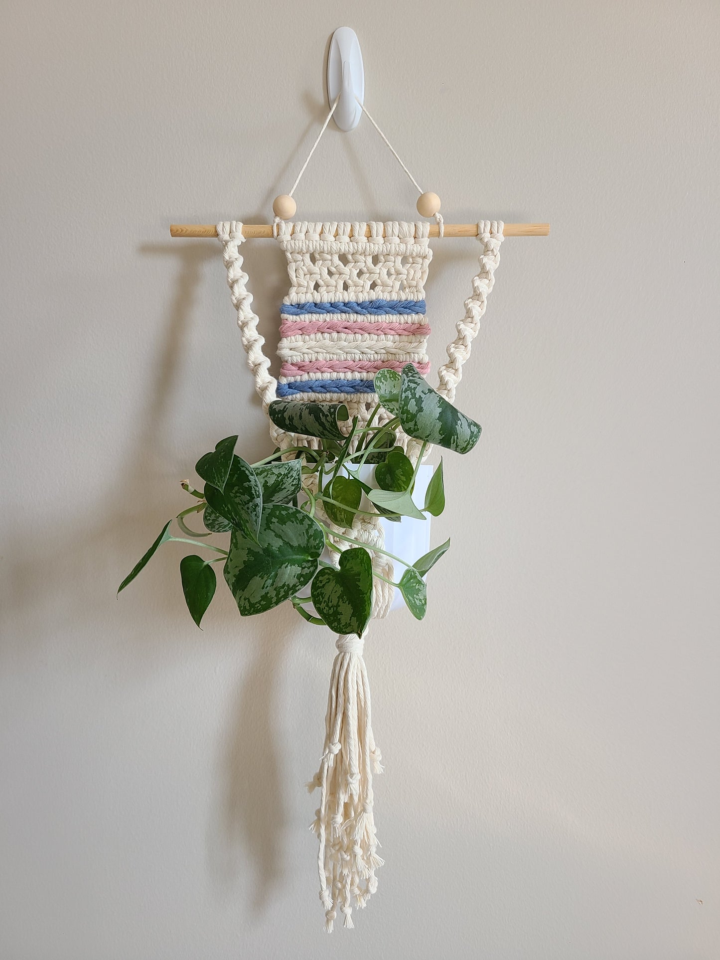 Pride Plant Hanger