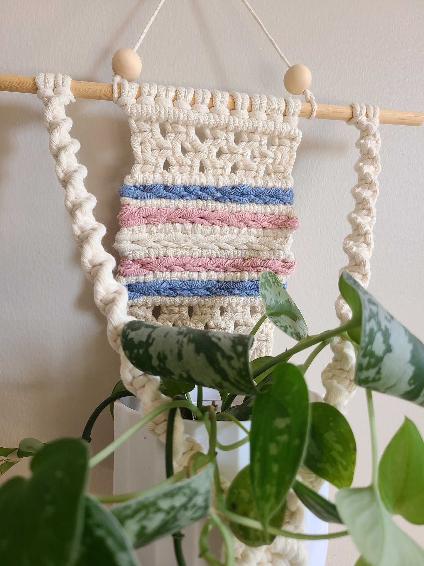 Pride Plant Hanger