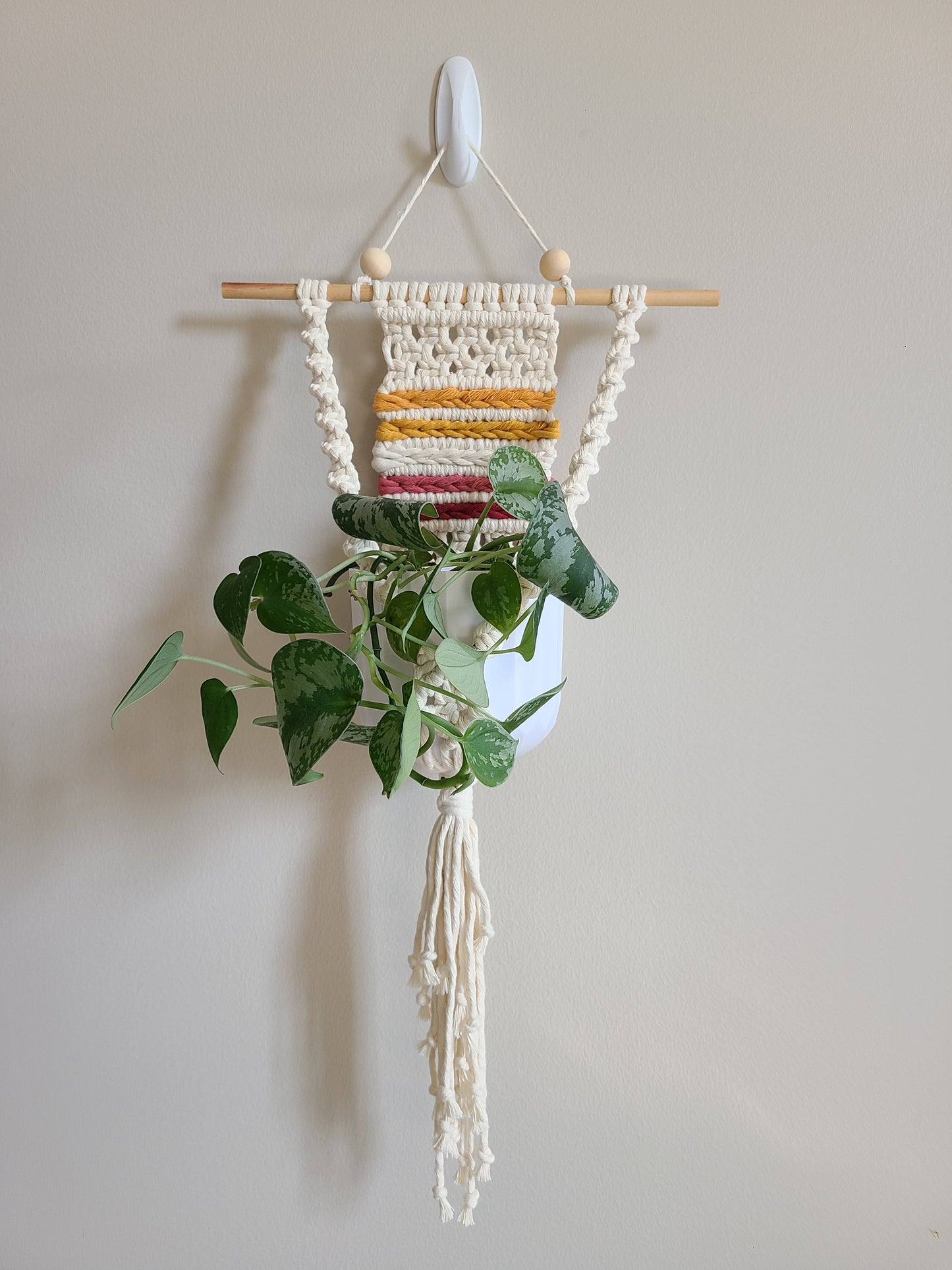 Pride Plant Hanger