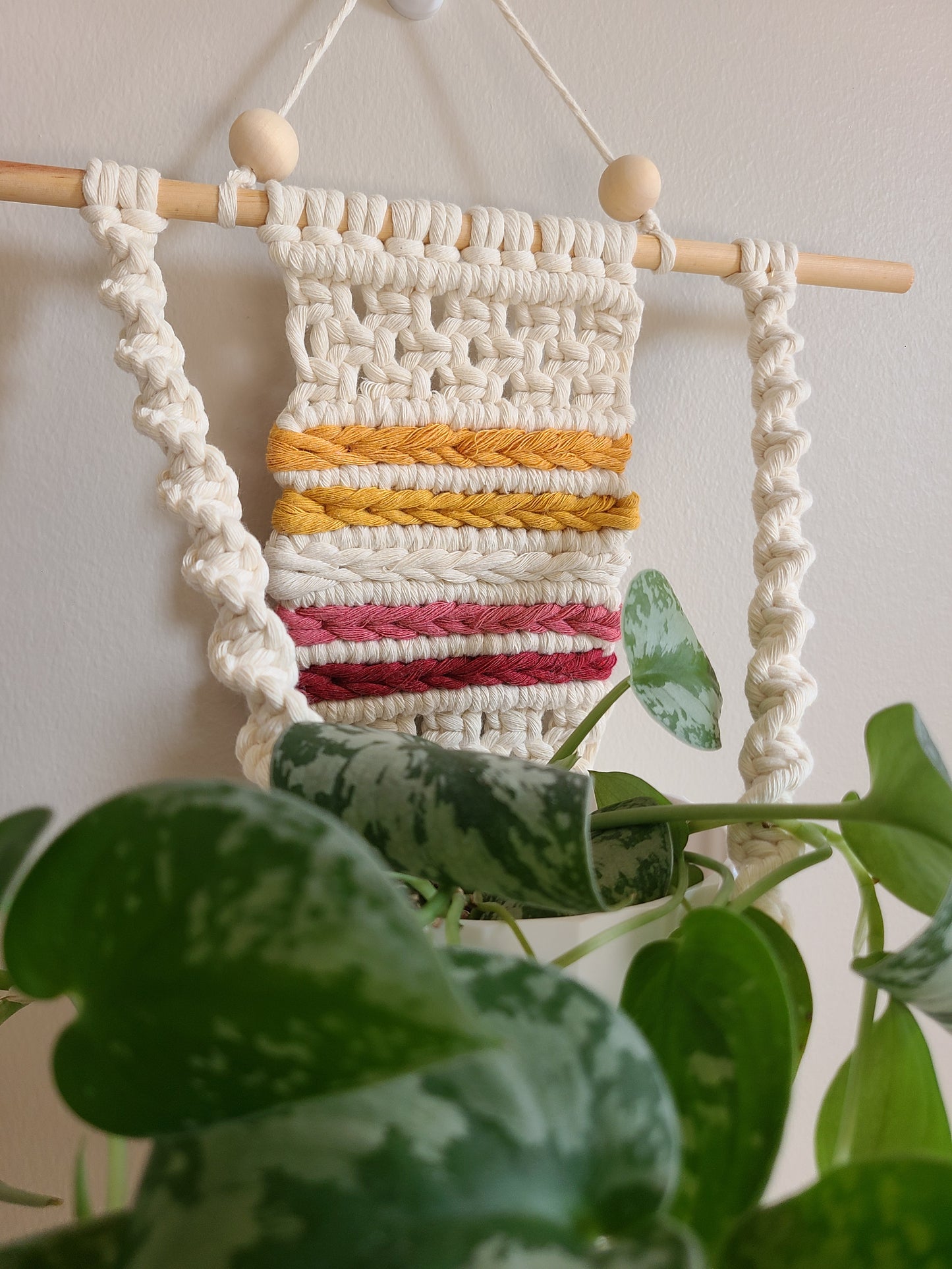 Pride Plant Hanger