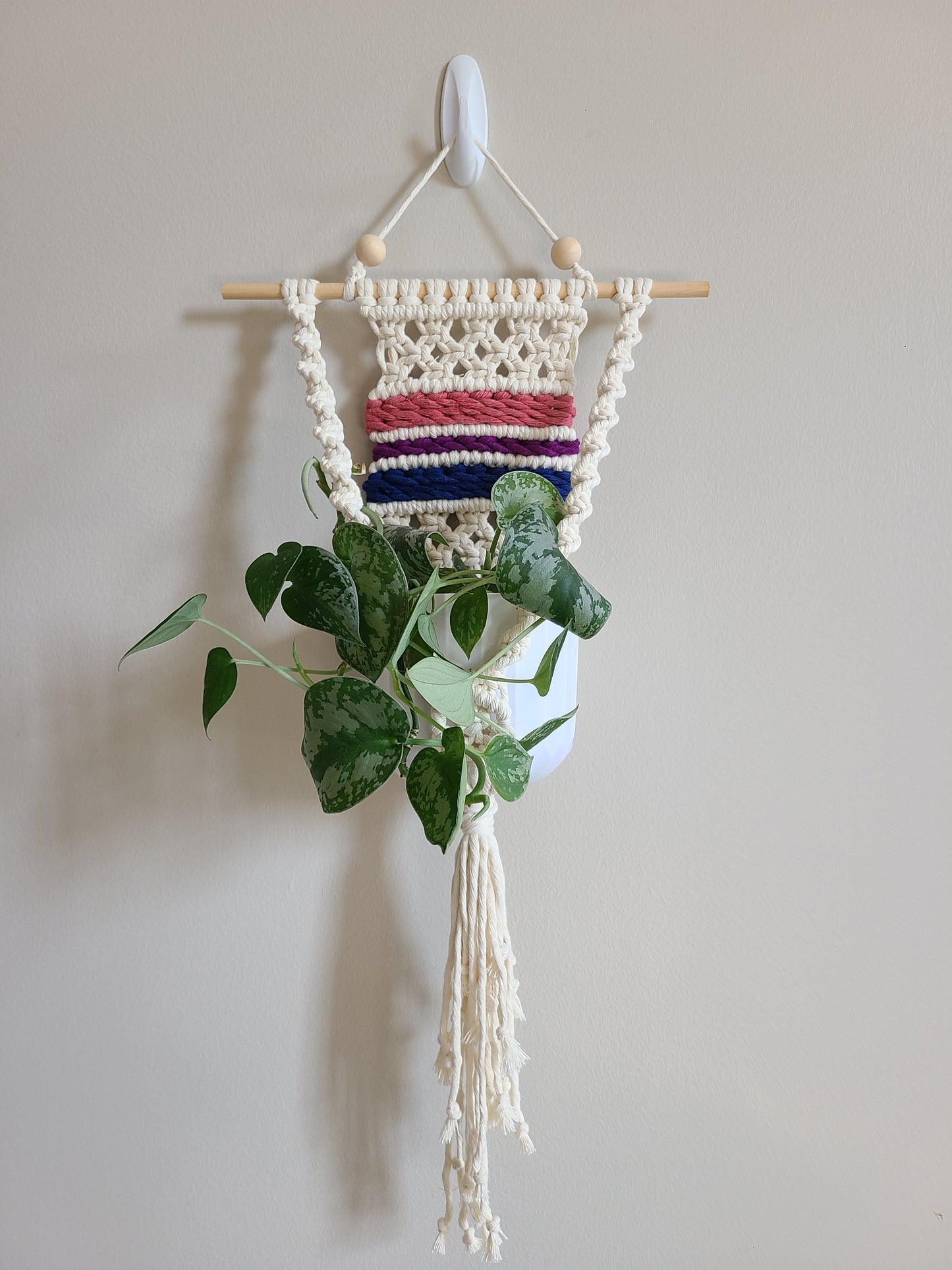 Pride Plant Hanger