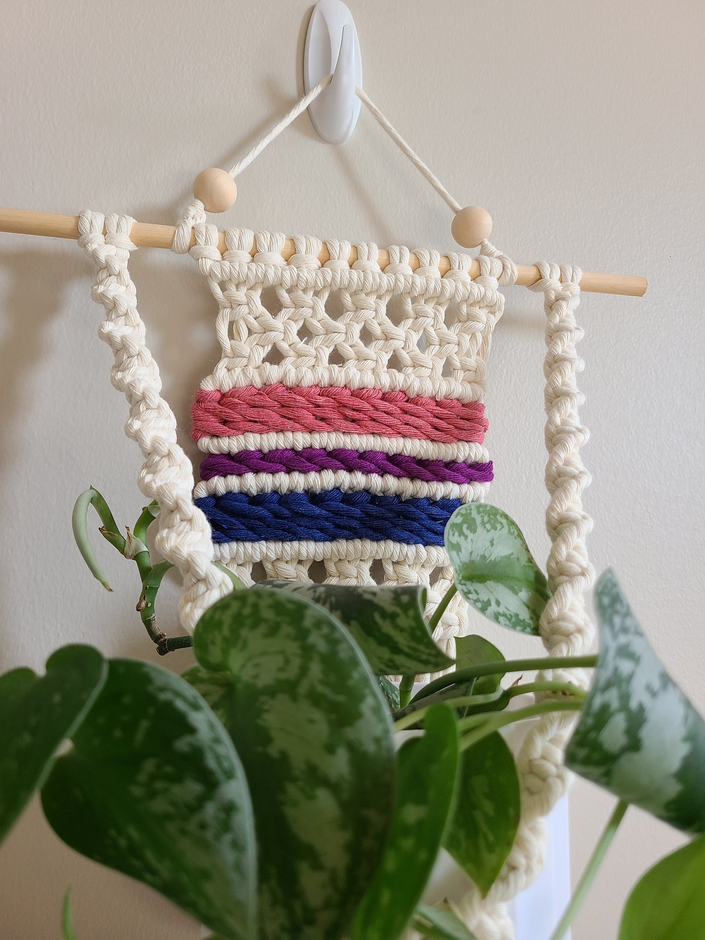 Pride Plant Hanger