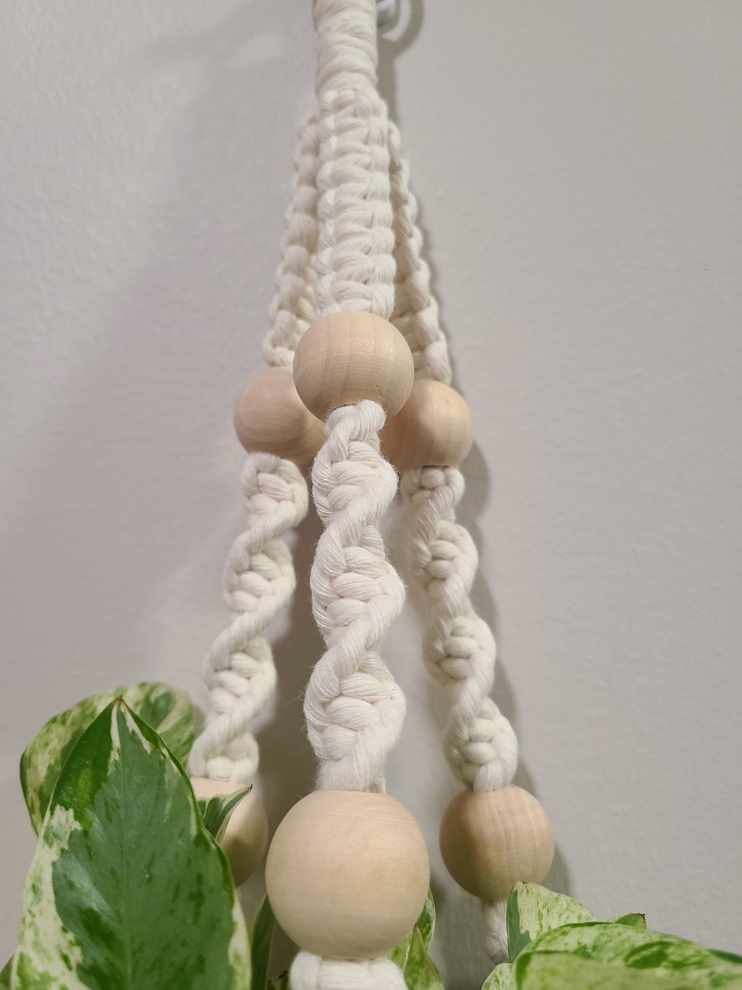 DIY Plant Hanger Kit