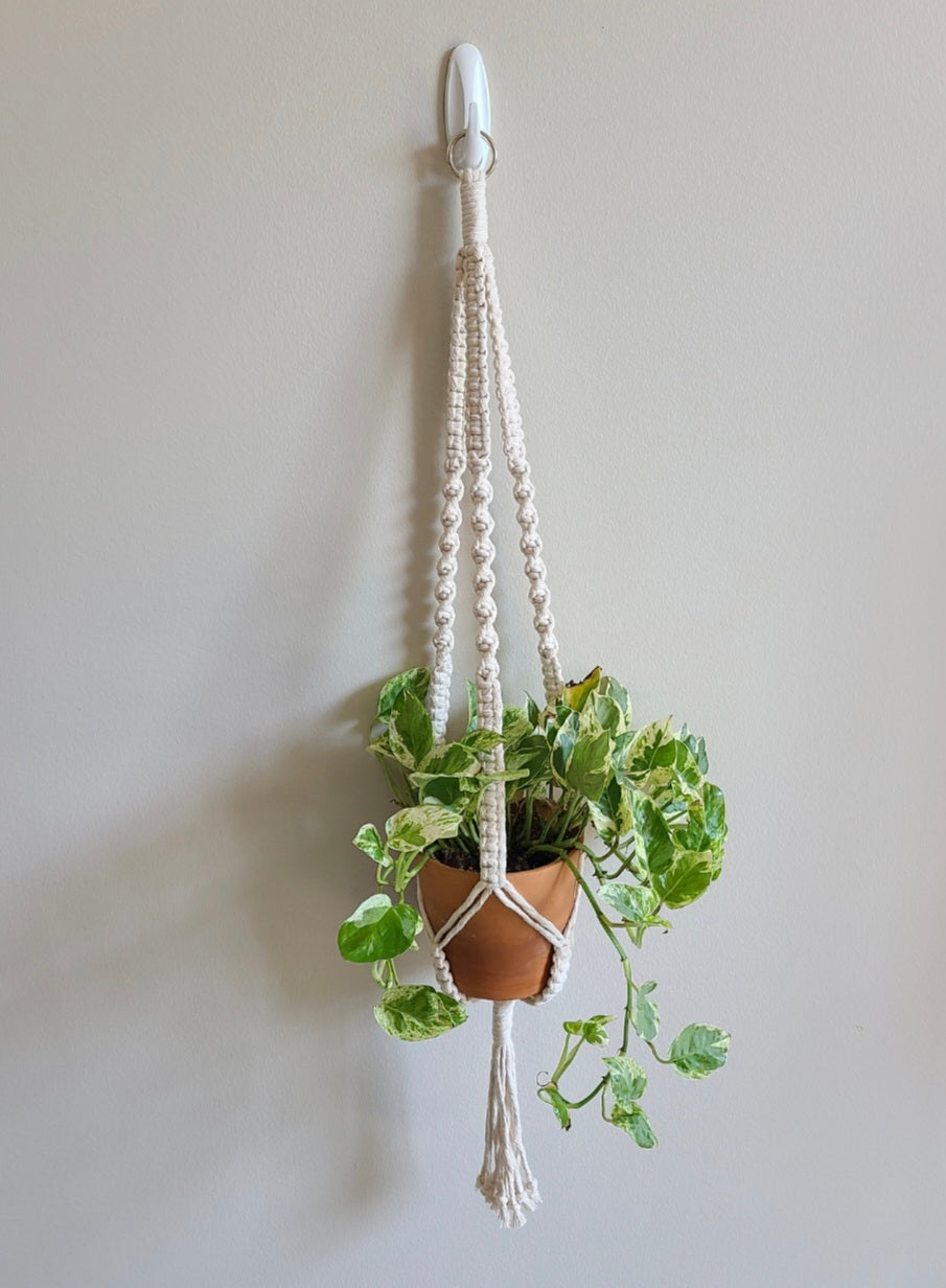 Twist Center Hang Plant Hanger