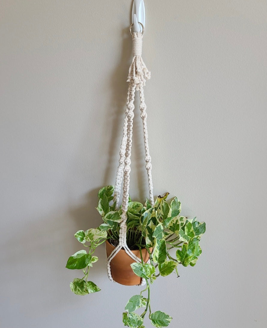hanging rope plant Tailless Center Hang Plant Hanger – Macramé Mouse