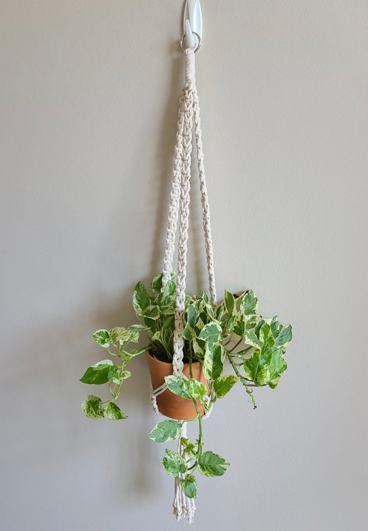 Alt. Center Hang Plant Hanger