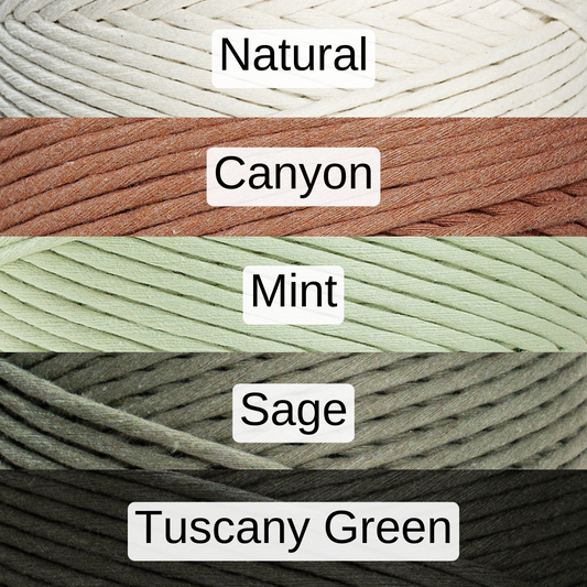 DIY Double Plant Hanger Kit