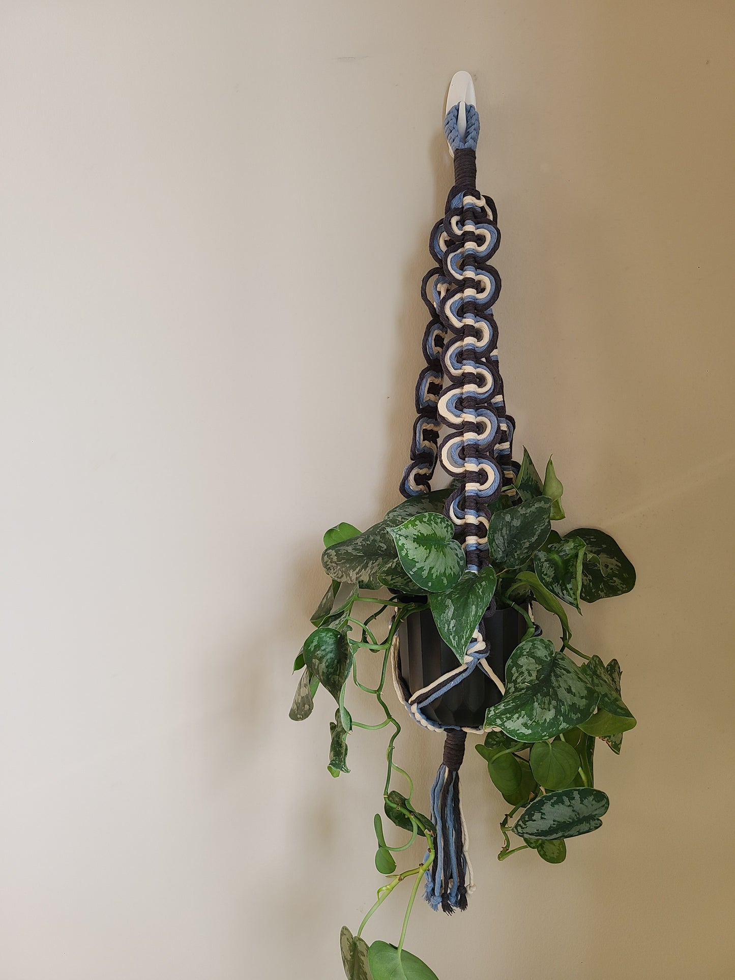 Retro Wave Plant Hanger