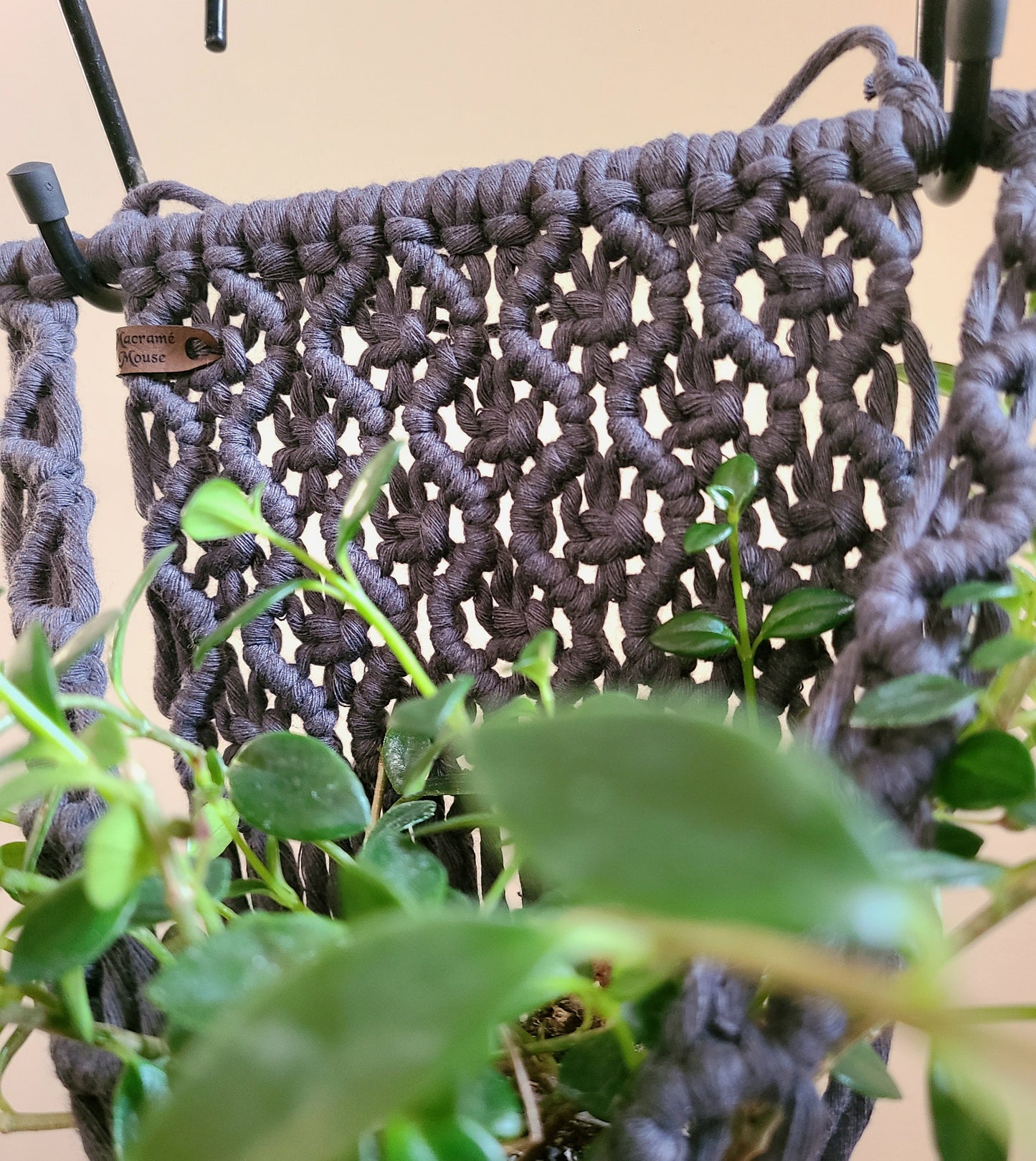 The Wave Plant Hanger