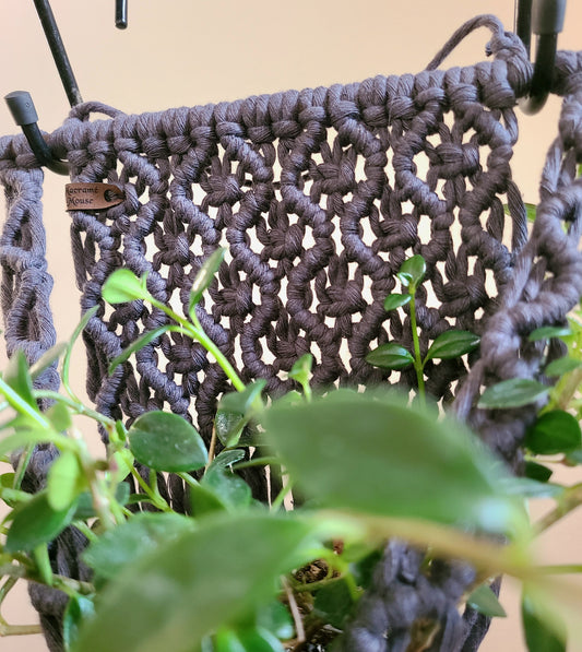 The Wave Plant Hanger