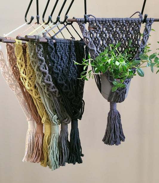 The Wave Plant Hanger