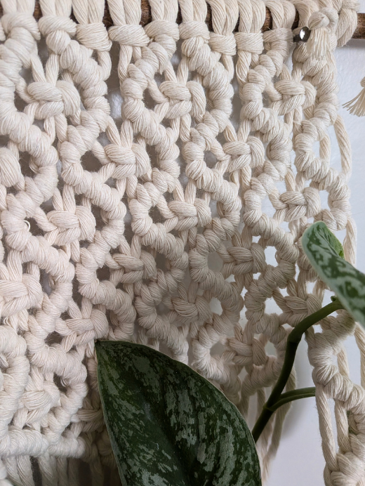 The Wave Plant Hanger