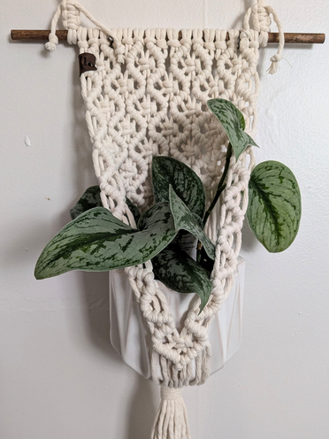 The Wave Plant Hanger