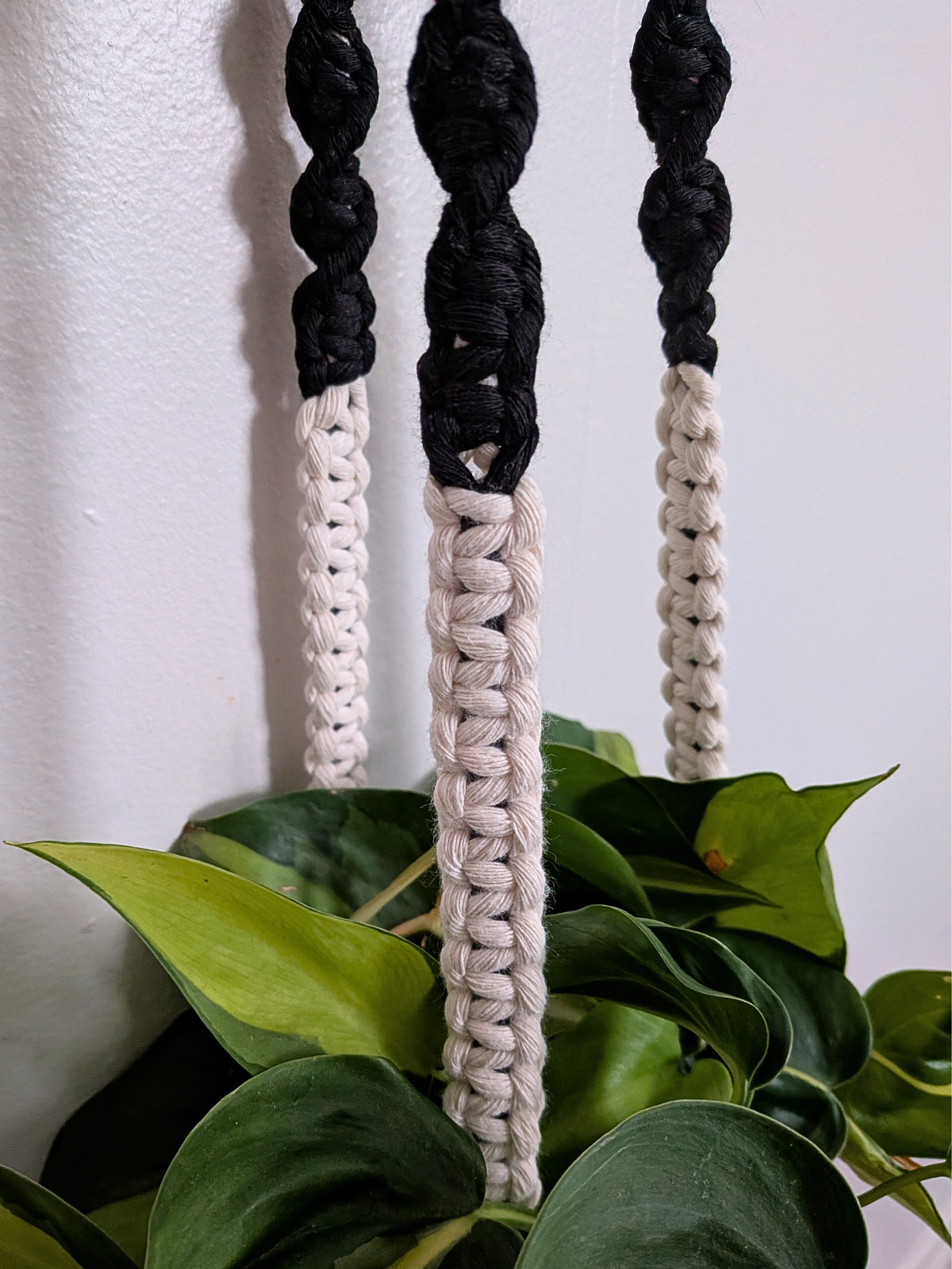 The Twist Center Hang Plant Hanger (Two Tone)