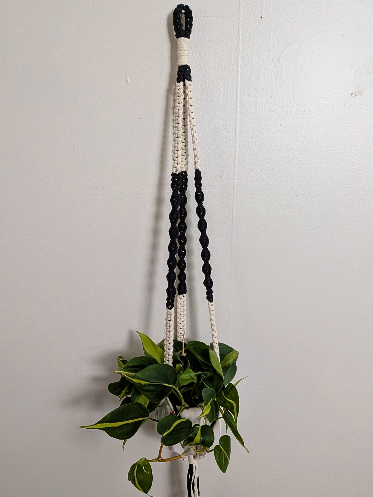 The Twist Center Hang Plant Hanger (Two Tone)