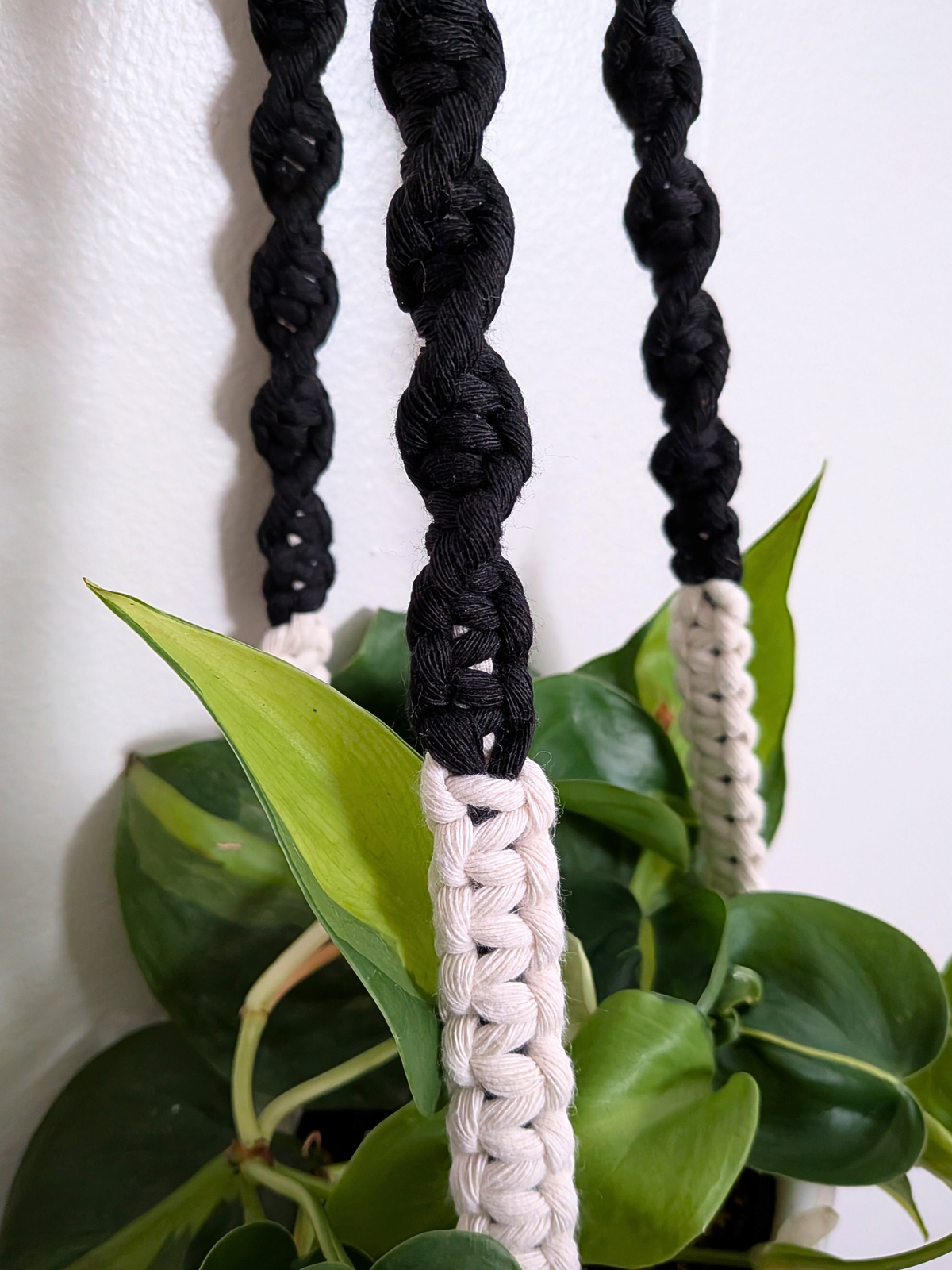 The Twist Center Hang Plant Hanger (Two Tone)