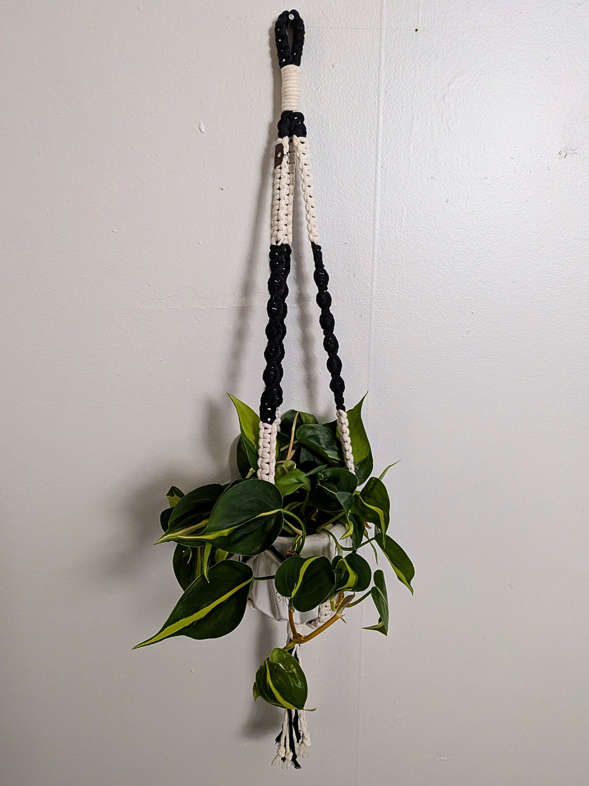 The Twist Center Hang Plant Hanger (Two Tone)