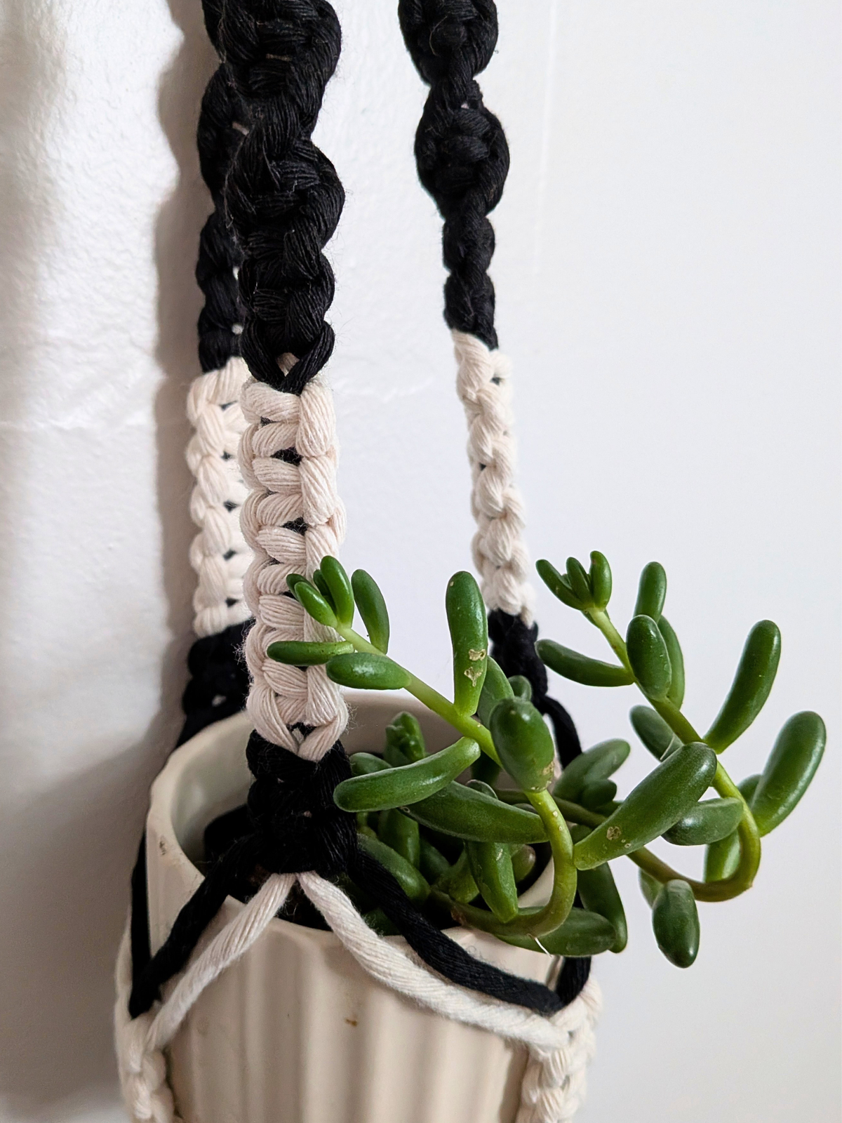 The Twist Center Hang Plant Hanger (Two Tone)