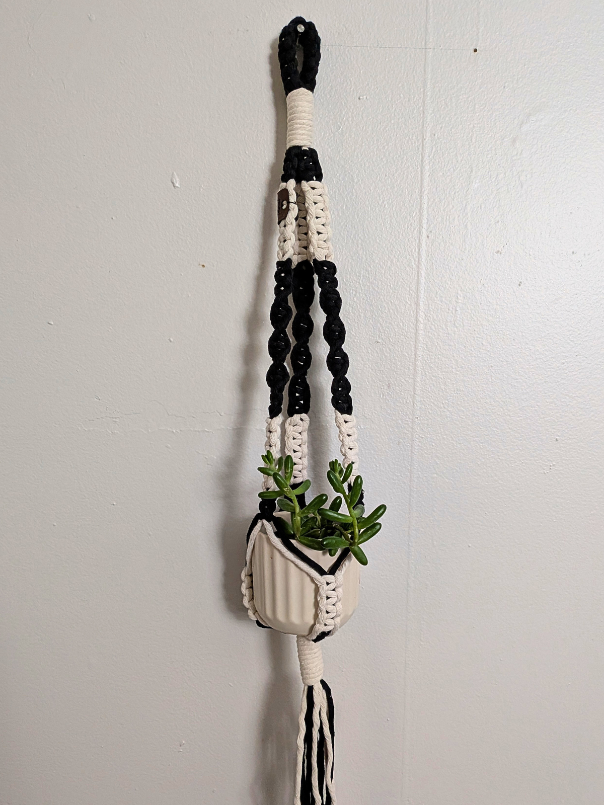 The Twist Center Hang Plant Hanger (Two Tone)