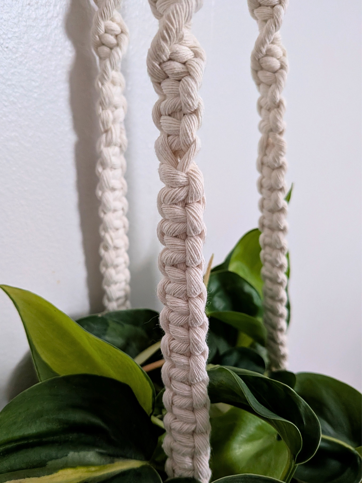 The Twist Center Hang Plant Hanger