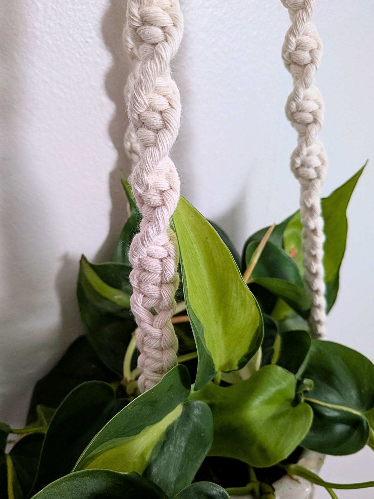 The Twist Center Hang Plant Hanger