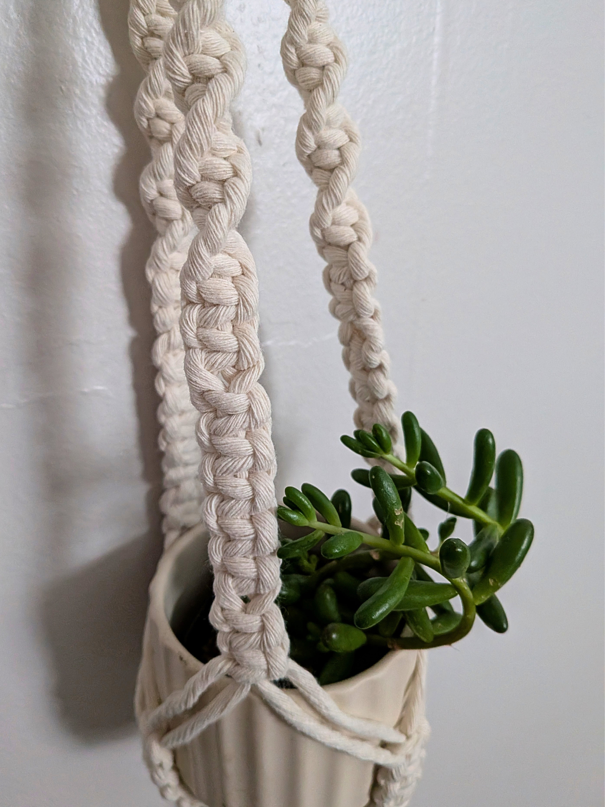 The Twist Center Hang Plant Hanger
