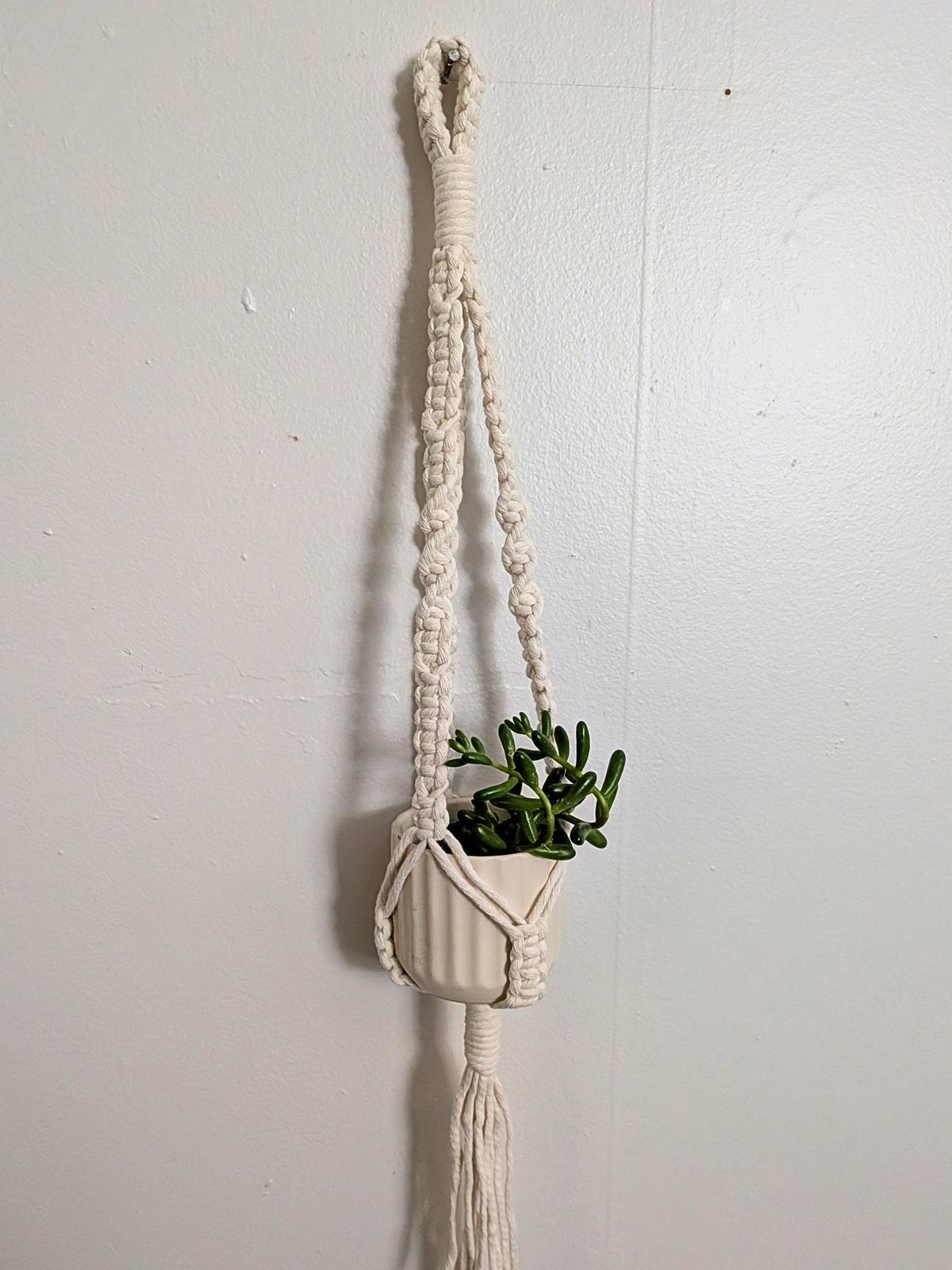 The Twist Center Hang Plant Hanger