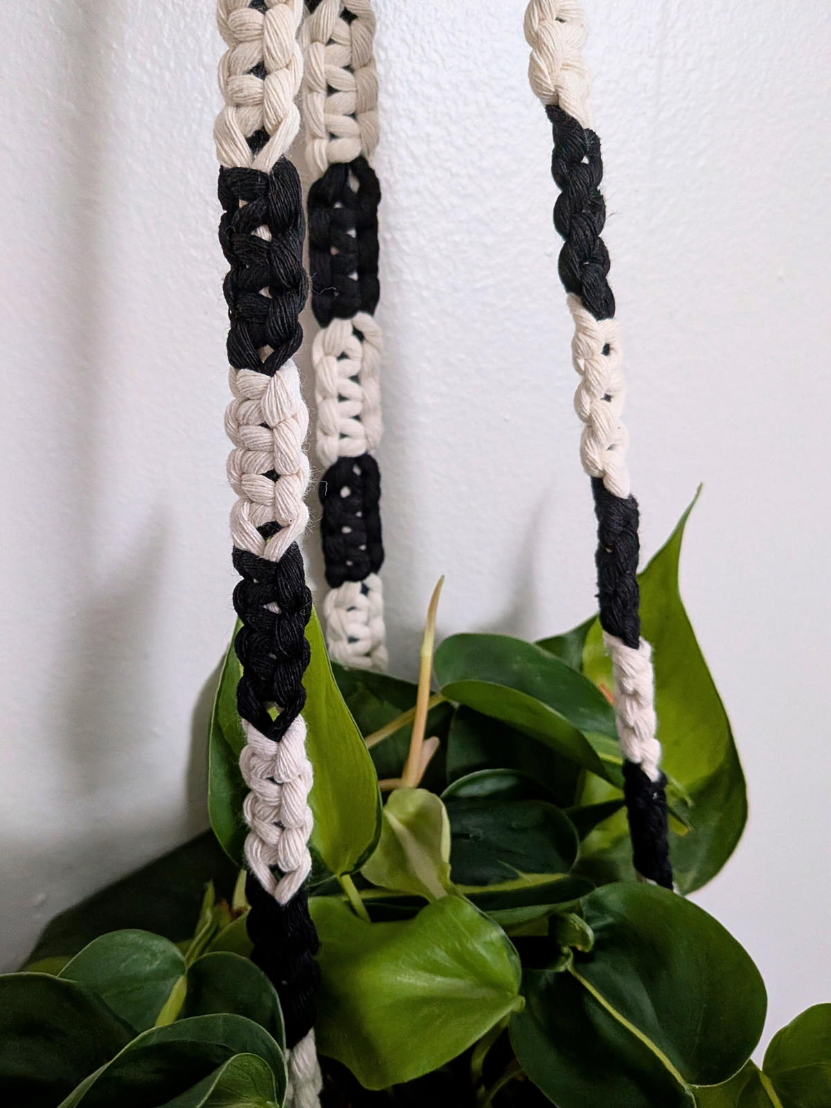 The Alt Center Hang Plant Hanger (Two Tone)