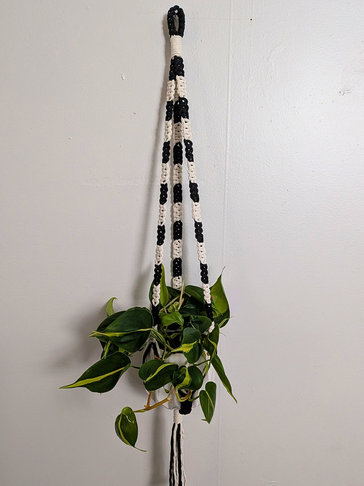 The Alt Center Hang Plant Hanger (Two Tone)
