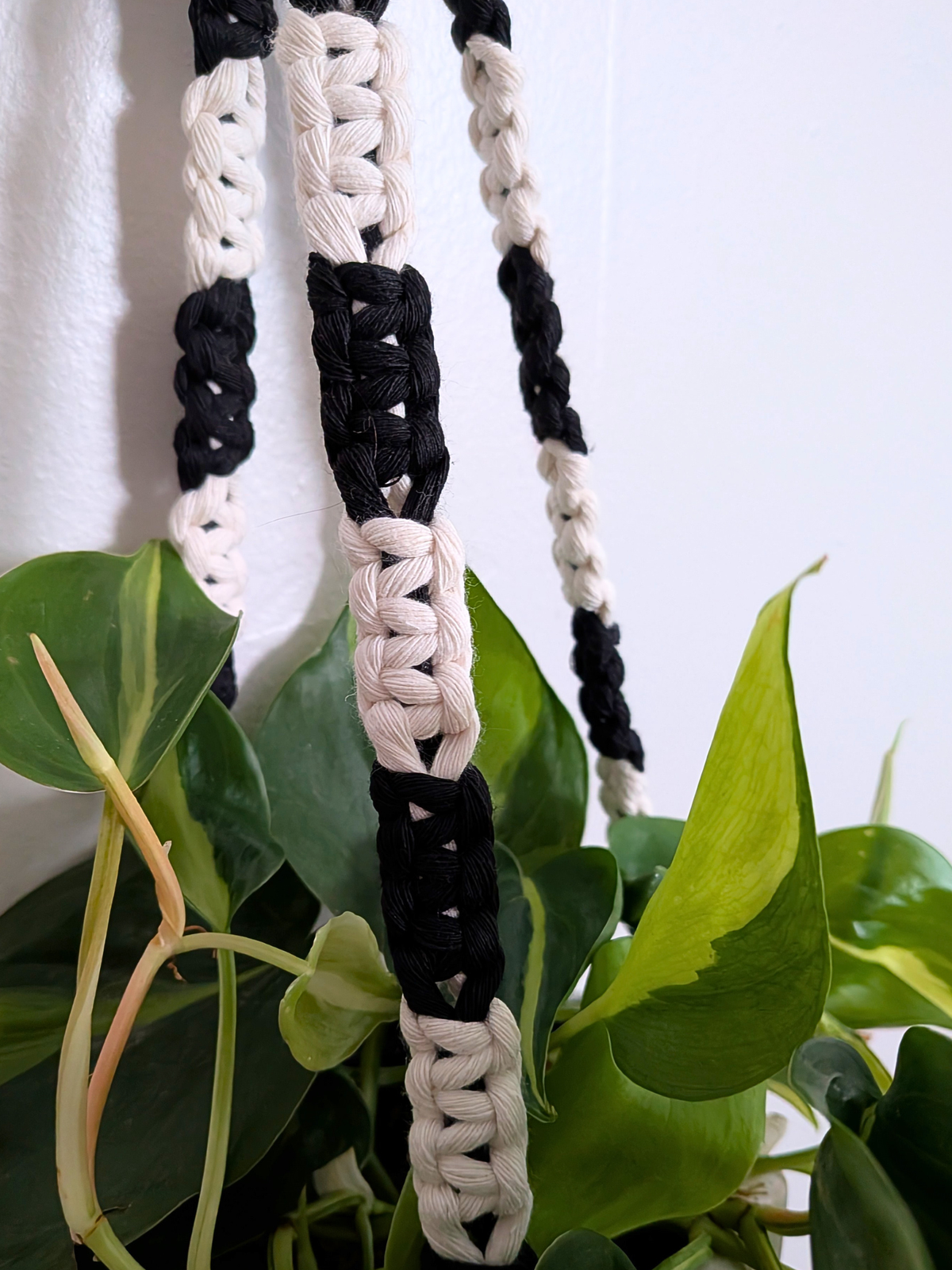 The Alt Center Hang Plant Hanger (Two Tone)