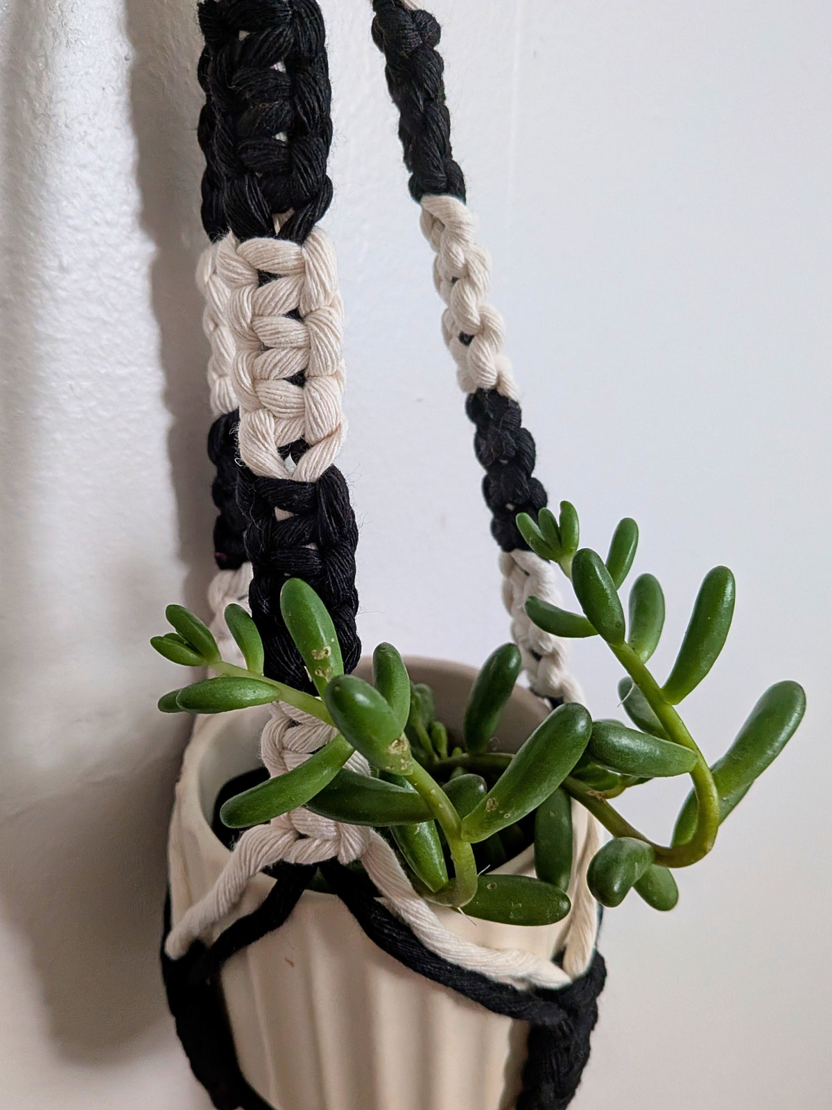 The Alt Center Hang Plant Hanger (Two Tone)
