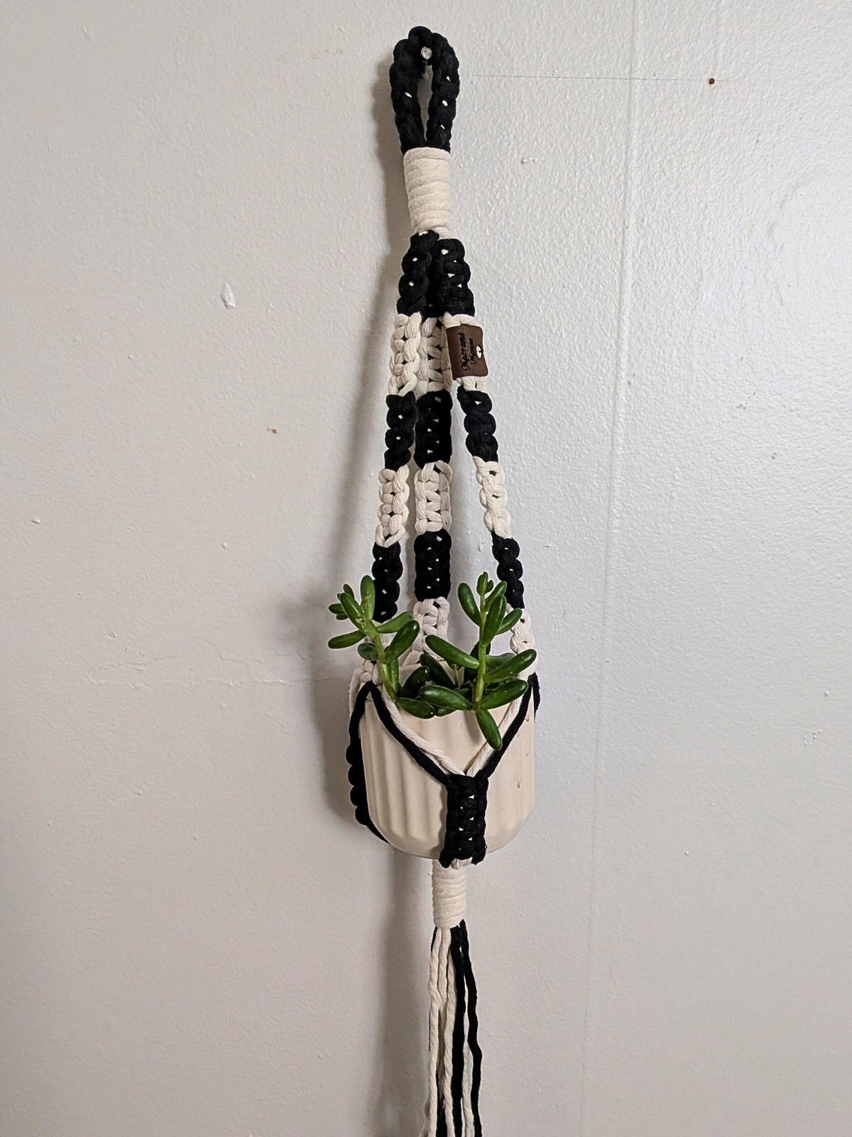 The Alt Center Hang Plant Hanger (Two Tone)