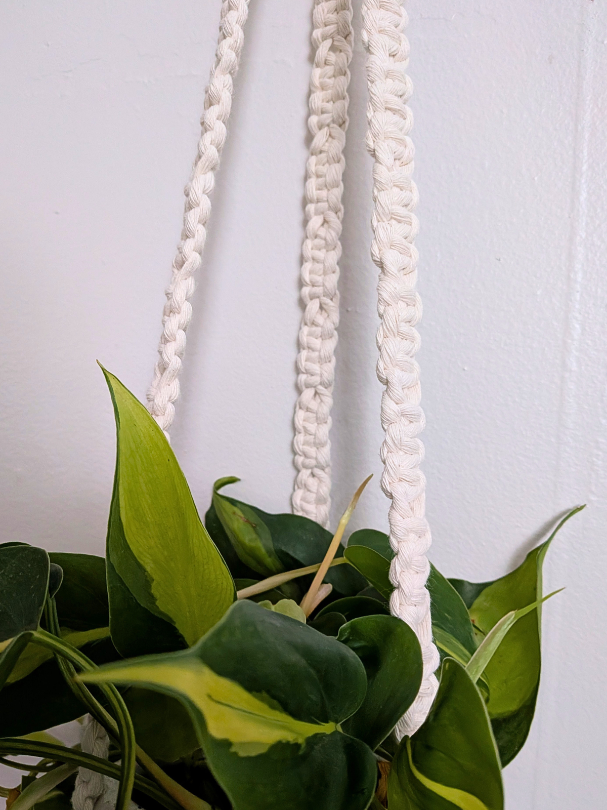 The Alt Center Hang Plant Hanger