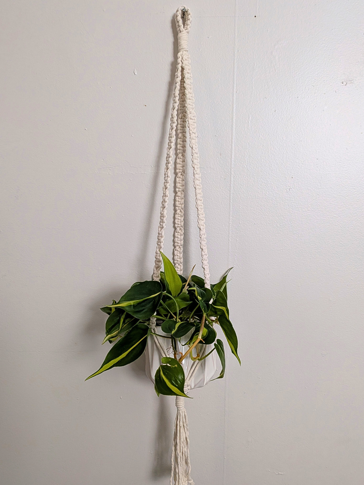 The Alt Center Hang Plant Hanger