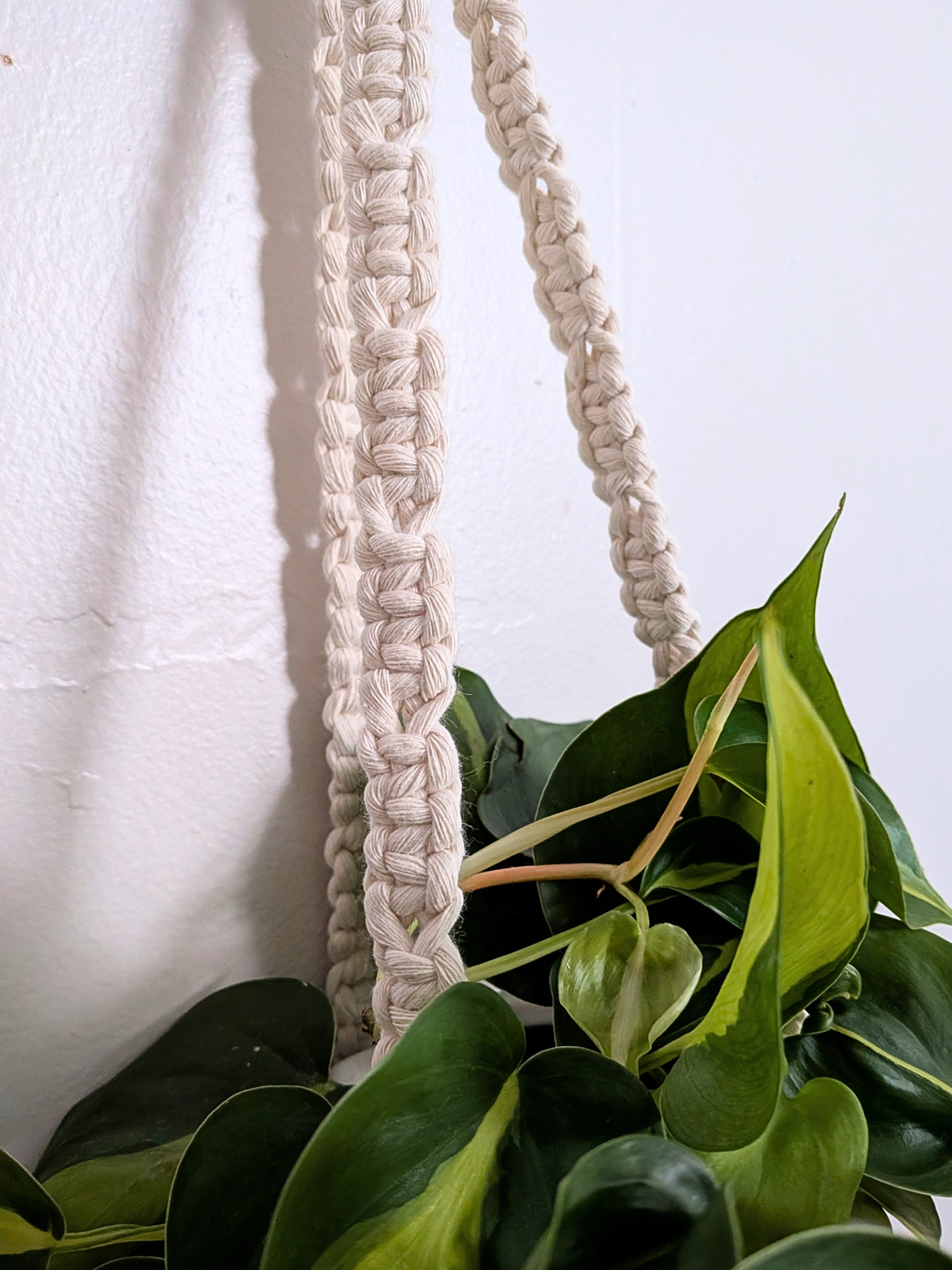 The Alt Center Hang Plant Hanger