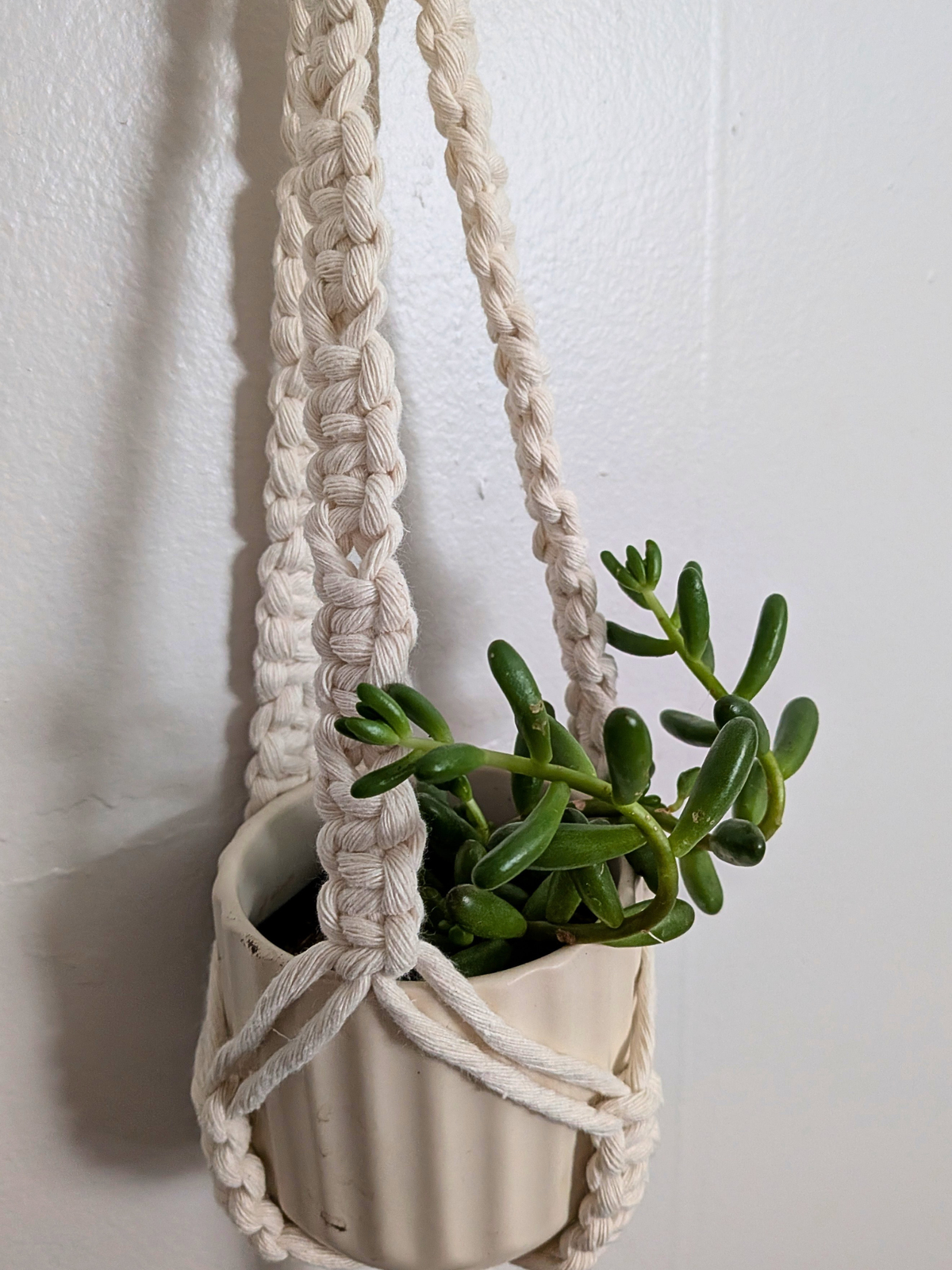 The Alt Center Hang Plant Hanger