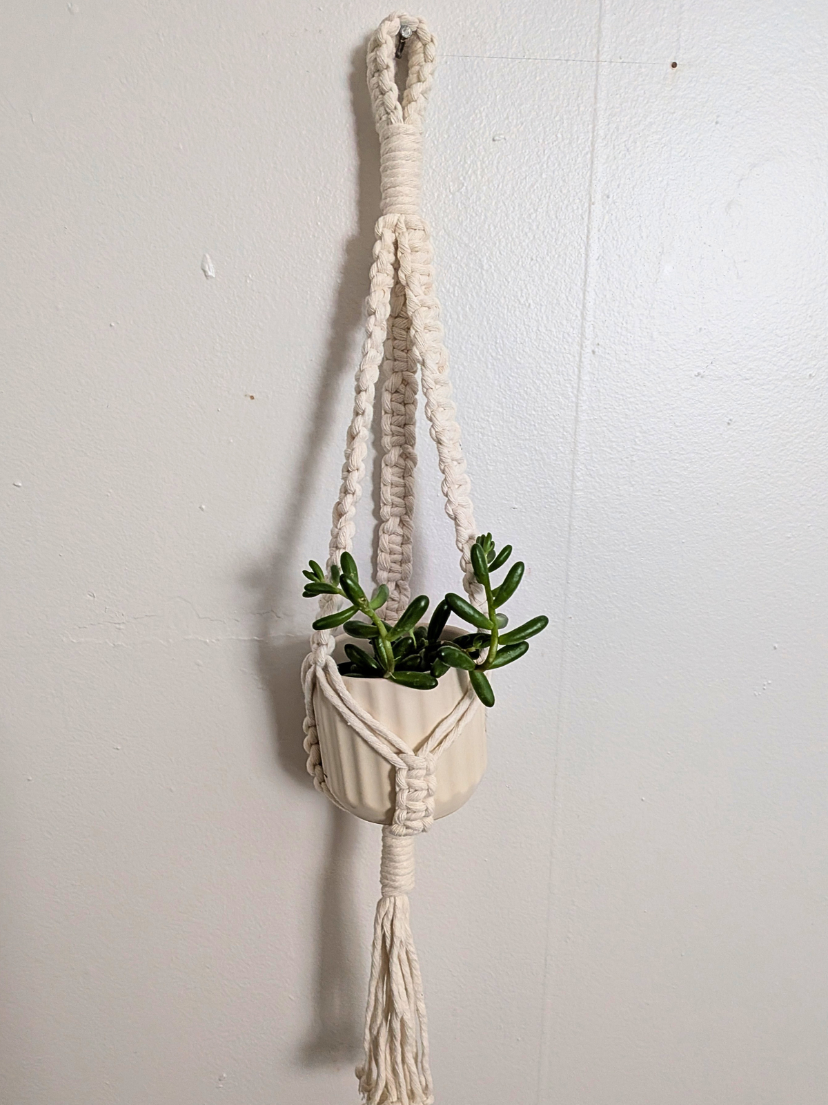 The Alt Center Hang Plant Hanger