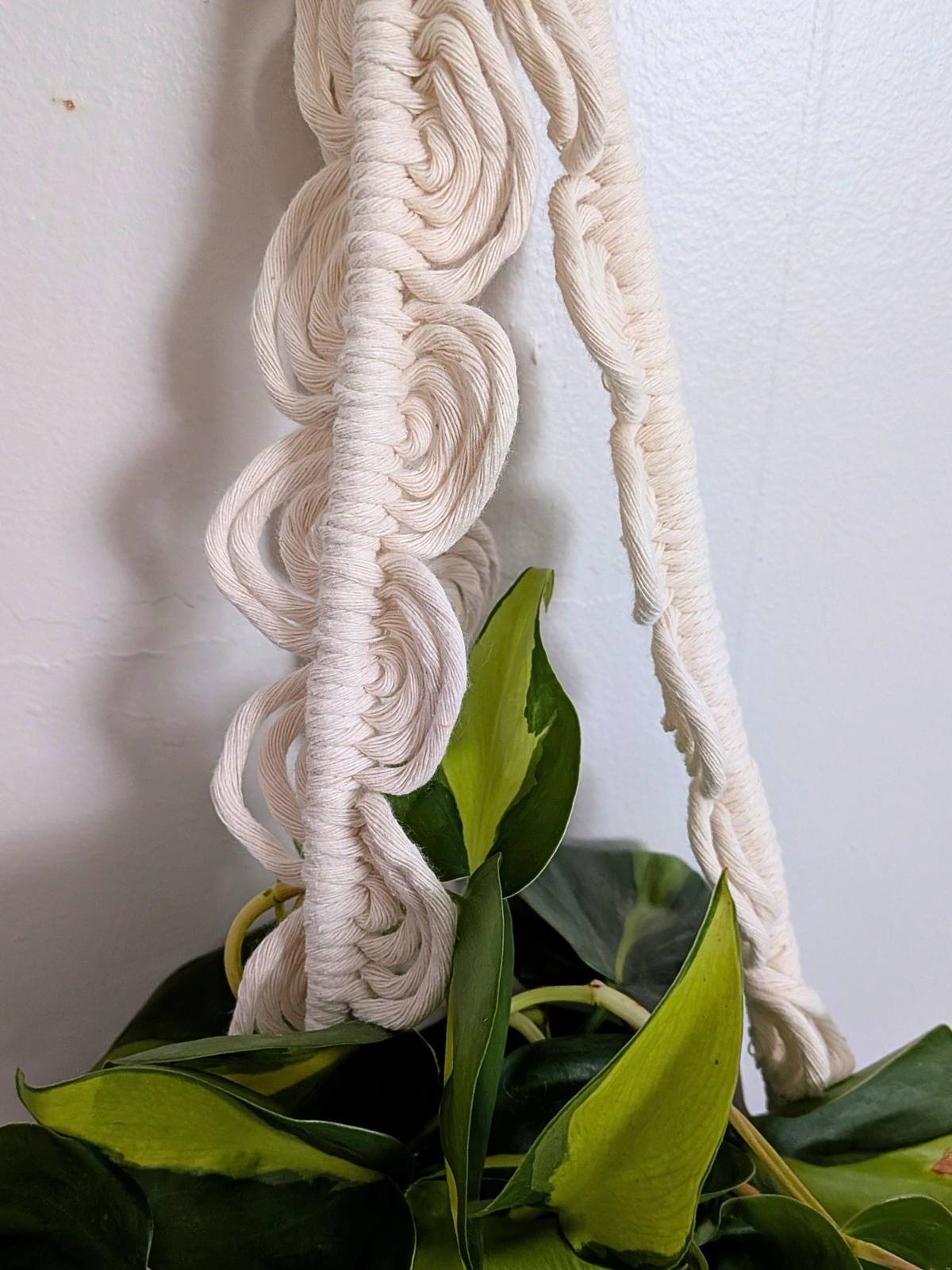 Retro Wave Plant Hanger