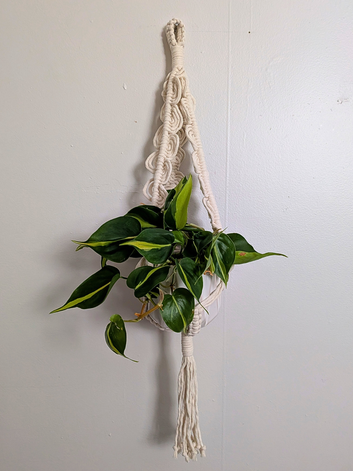 Retro Wave Plant Hanger
