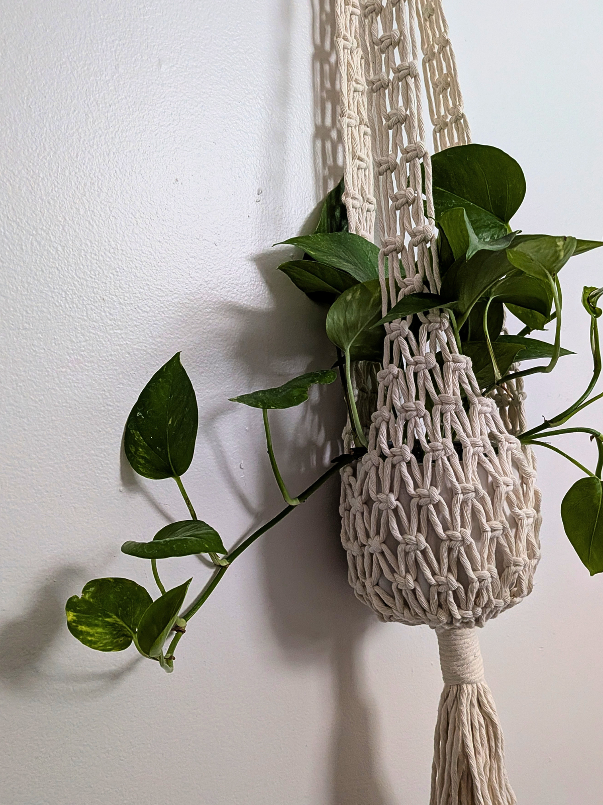 Net Style Plant Hanger