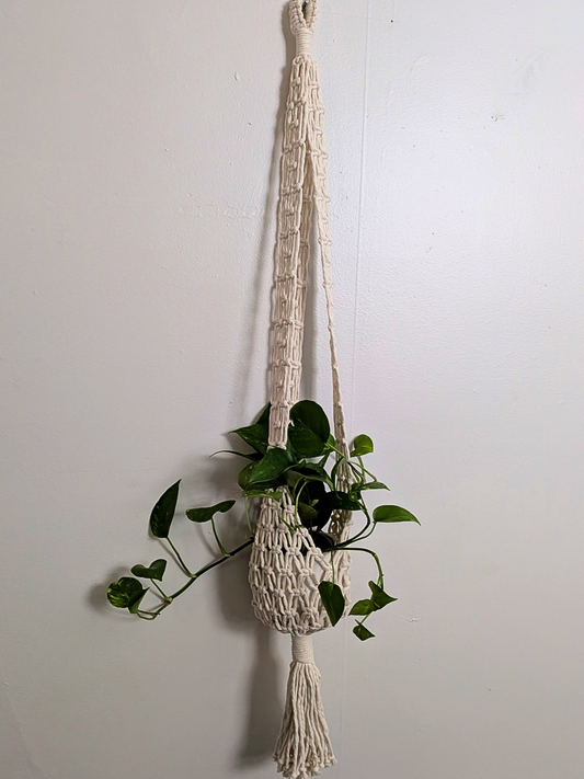 Net Style Plant Hanger