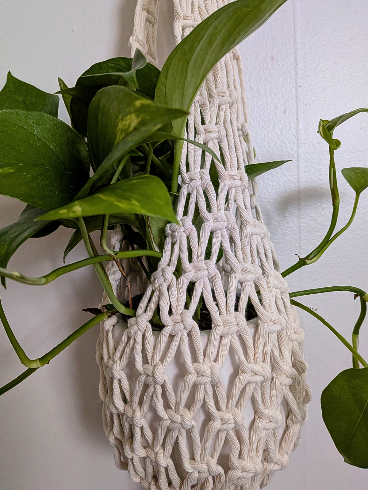 Net Style Plant Hanger