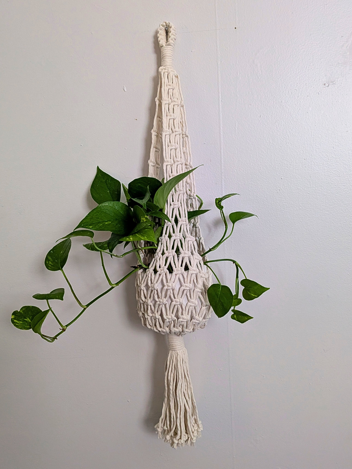 Net Style Plant Hanger