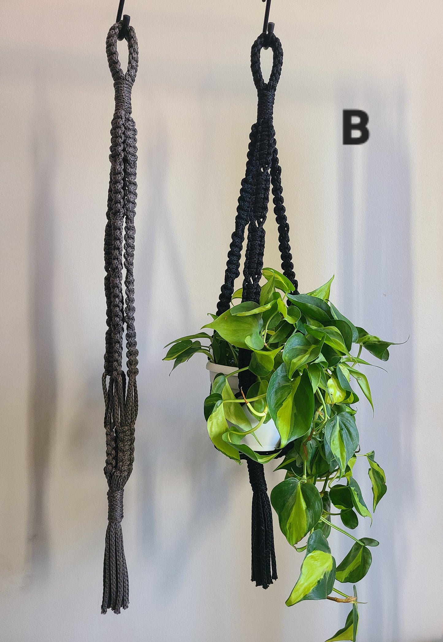 (Pre Order) Outdoor Safe Plant Hangers