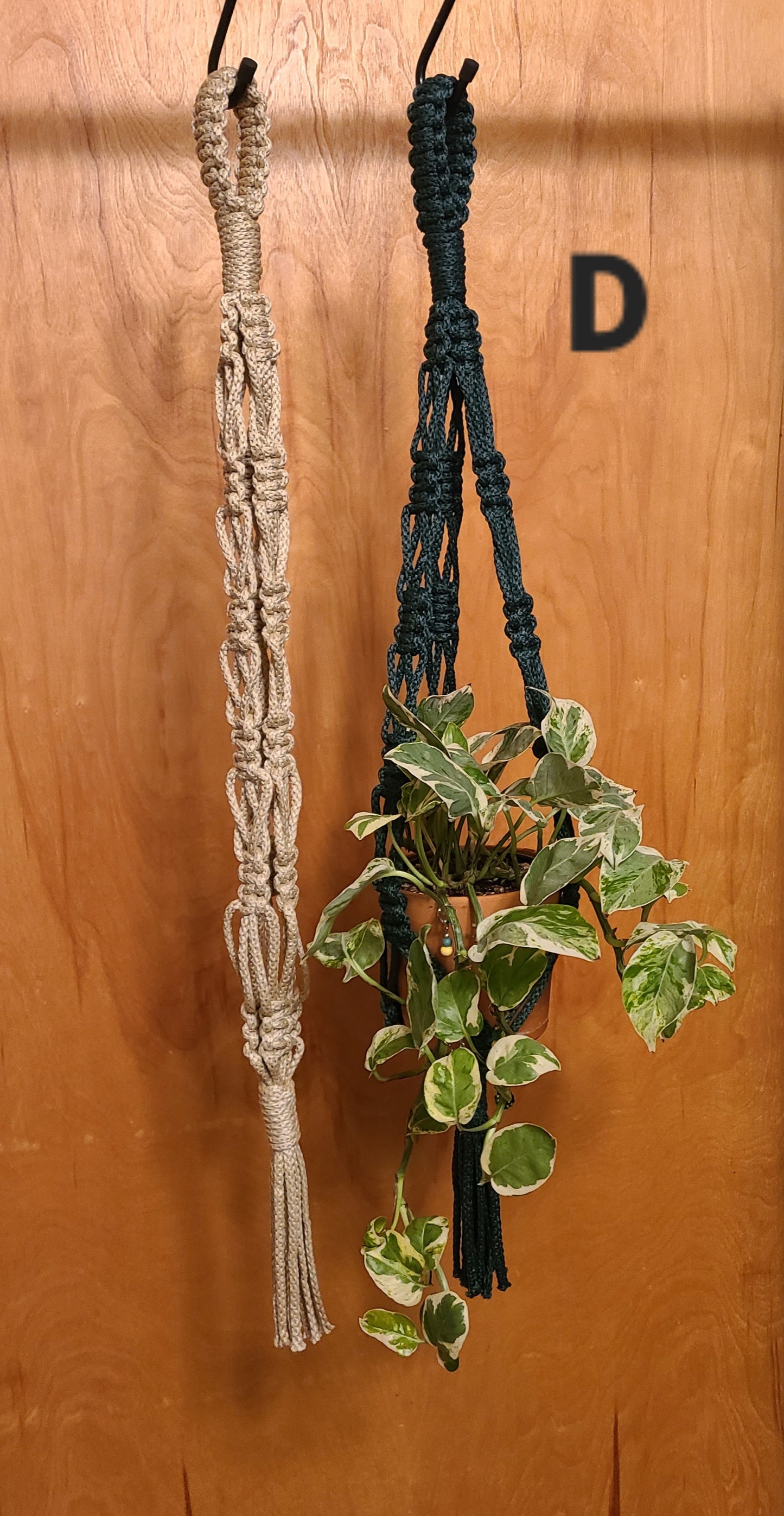 (Pre Order) Outdoor Safe Plant Hangers